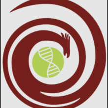 Logo for Phoenix Biology RSO a light green circle with DNA helix surrounded by a swirling red Phoenix