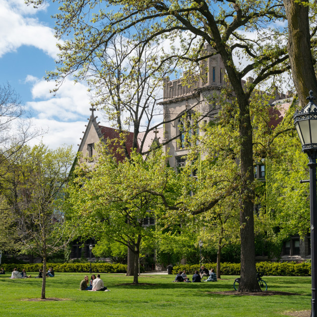 Students sit on the grass in the quad under trees with gothic buildings in the background.
