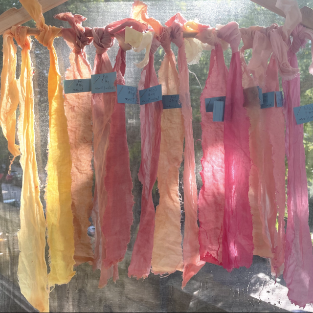An array of dyed scarves hangs from a string in a range of colors.