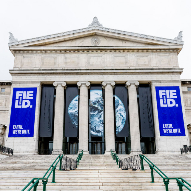 Banners and a globe are visible on the front steps of the Field Museum in Chicago.