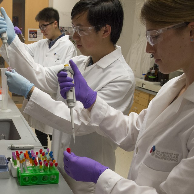 Three students in white lab coats and rubber gloves fill test tubes in a laboratory.