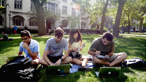 Students study in a group on the Quad in summer. 