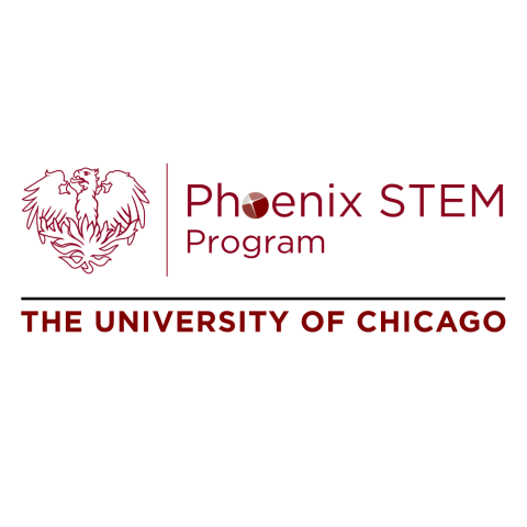 Phoenix STEM Logo