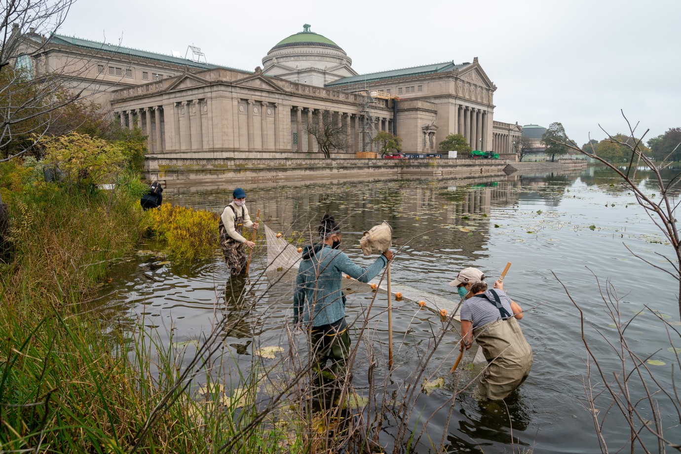Interdisciplinary Biology Track: Ecology &amp; Evolution | The College 