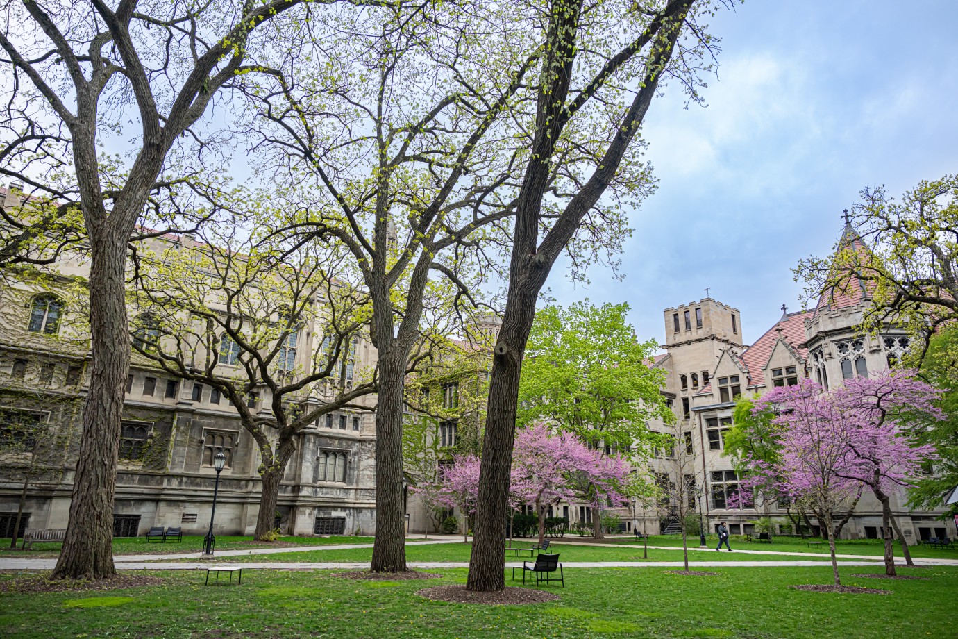 Qizlar va ularning kokraklari uy qurilishi fotosuratlari