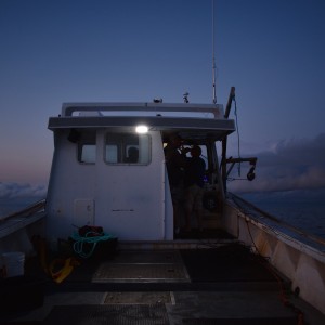 A lobster crew trawling for lost traps before dawn on Prince Edward Island