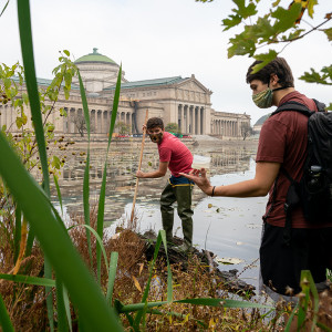 Two students stand on a shore of a pond examining what they captured in a net. Large leaves and blades of grass are in the foreground.
