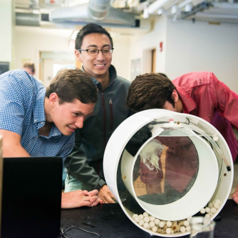 Three students bend forward to view a marine creature in a circular tank.